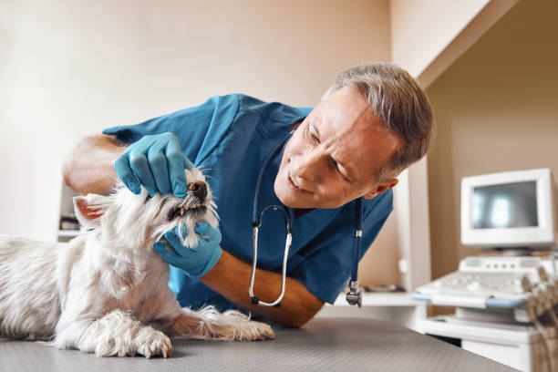 Best Emergency Dental Extractions in Eugene, OR